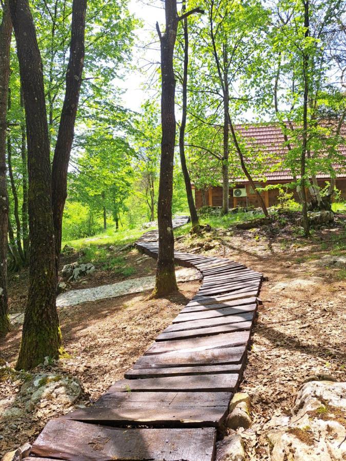Guest House Mihovil Слунь Екстер'єр фото
